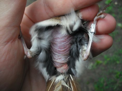 dscf2163.jpg