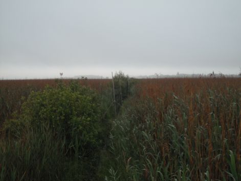 dscf2244.jpg